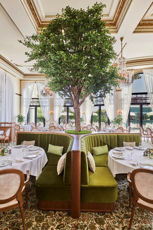 Menu gastronomique à L'Hermitage