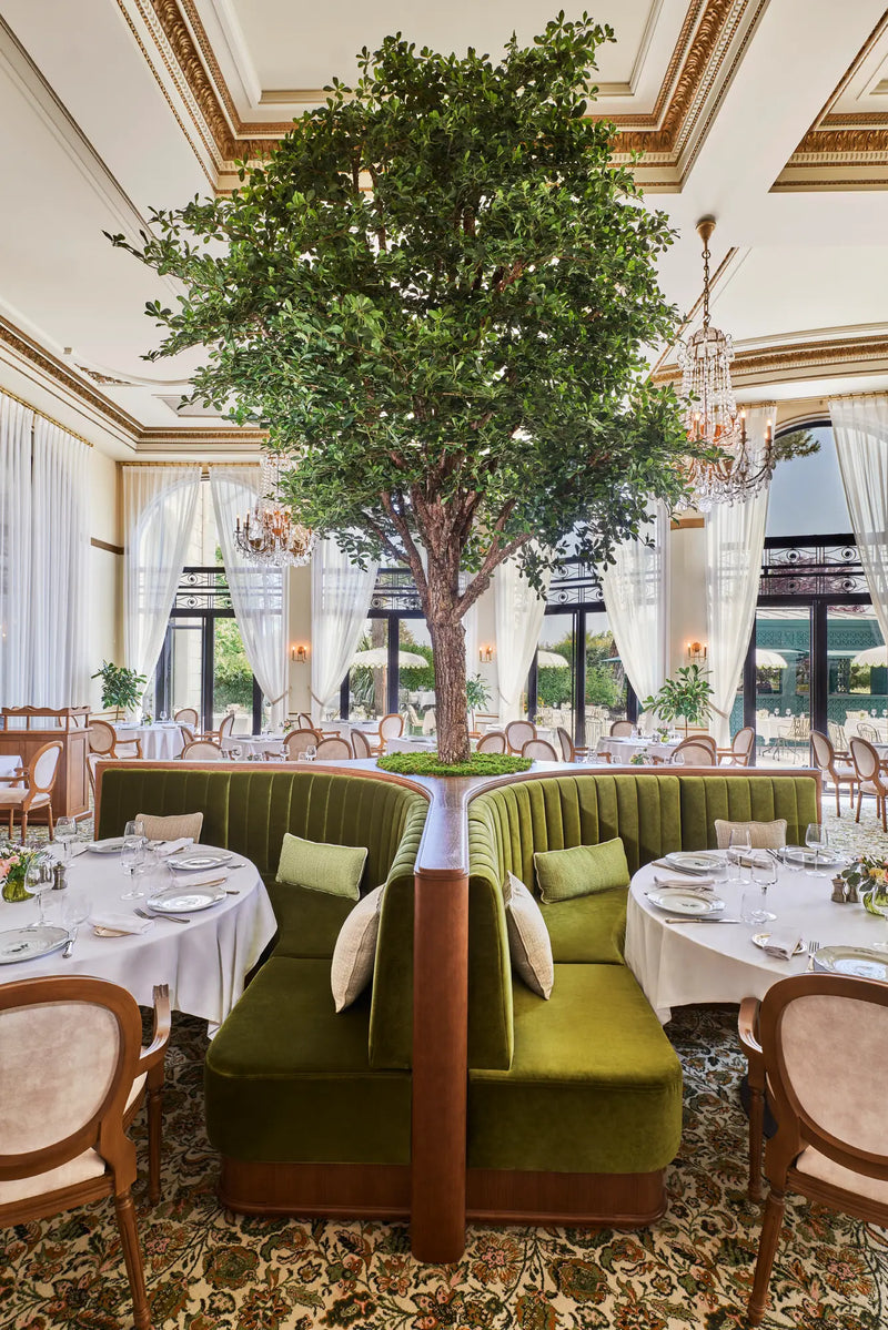 Menu gastronomique à L'Hermitage